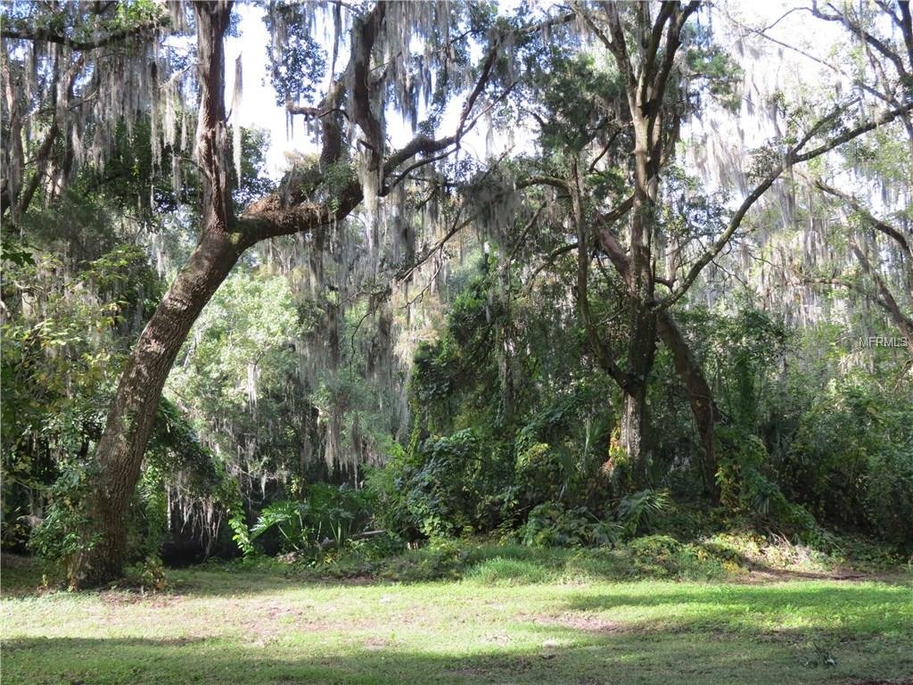 4609  JOHN MOORE RD ,BRANDON,33511