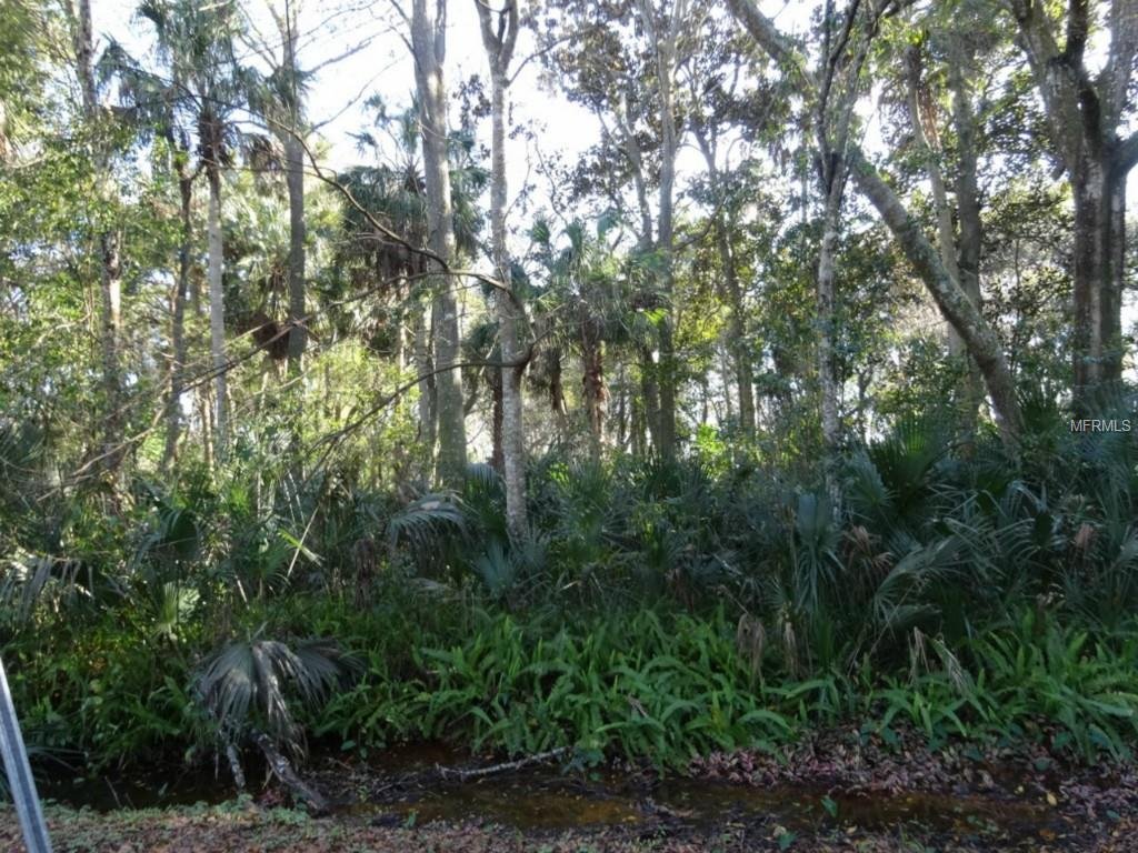 440  KING CHARLES CIR ,DELAND,32724
