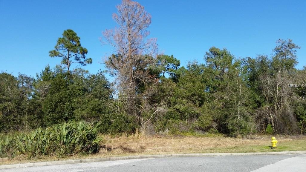 COURTLAND BLVD,DELTONA,32738