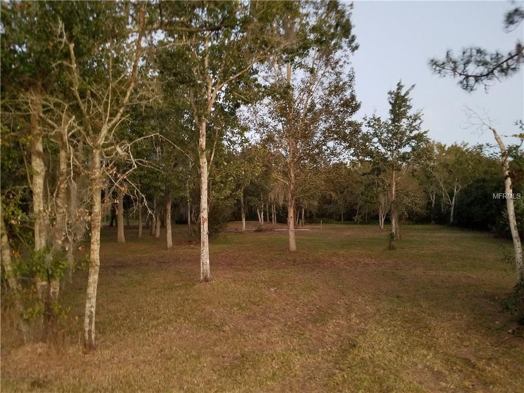 7834,7846 BOYETTE RD,WESLEY CHAPEL,33545