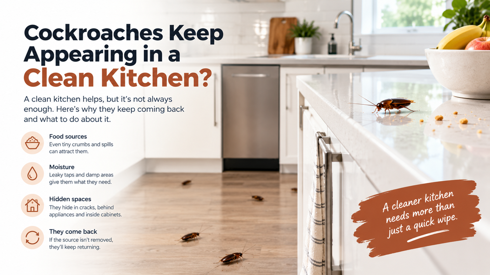cockroaches