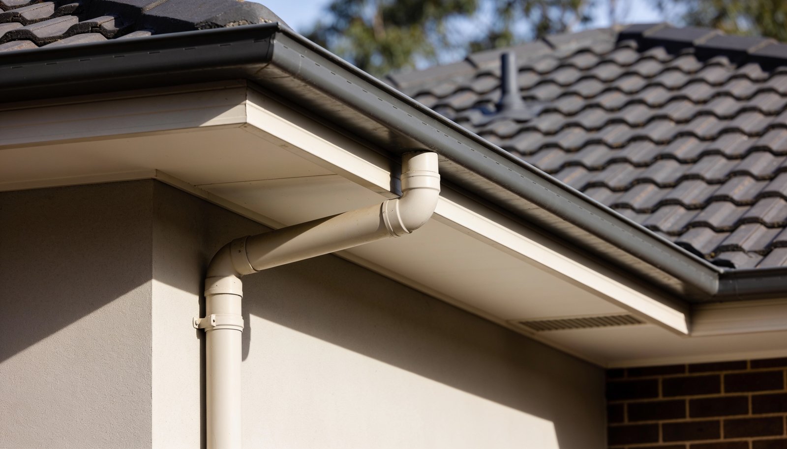 How to stop possums getting into a roof space
