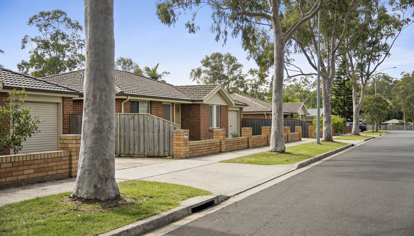 Schools and Catchments Around Calamvale: What Families Should Check