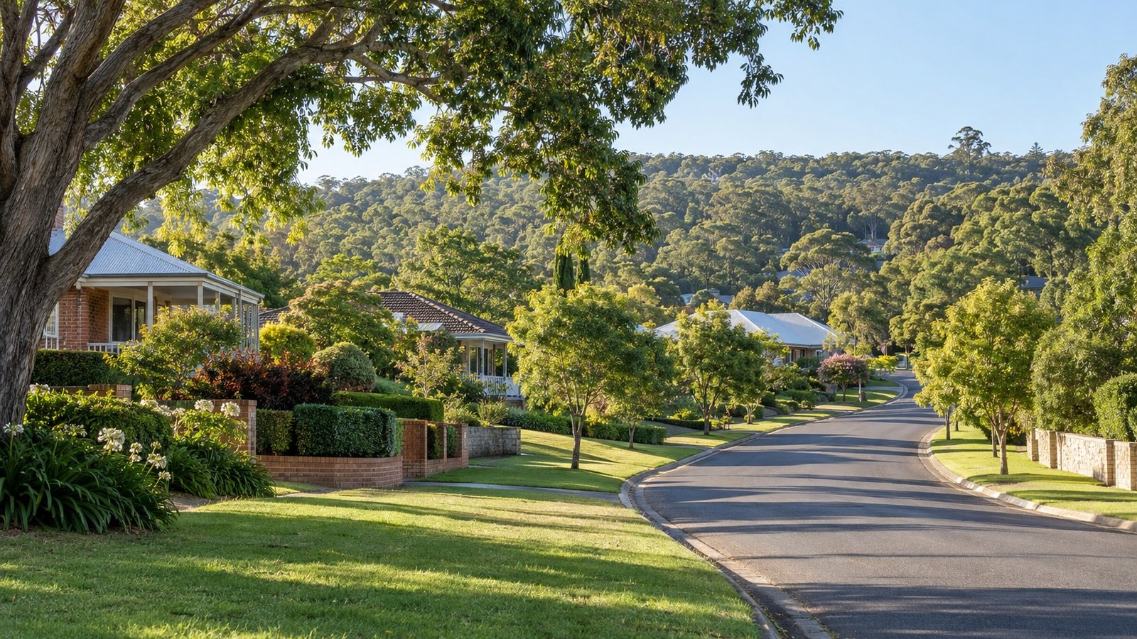 Quiet western Brisbane street of established homes on large leafy blocks with rolling terrain