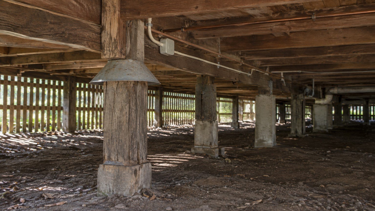 Underfloor space of an older Queenslander showing timber stumps, bearers and service runs
