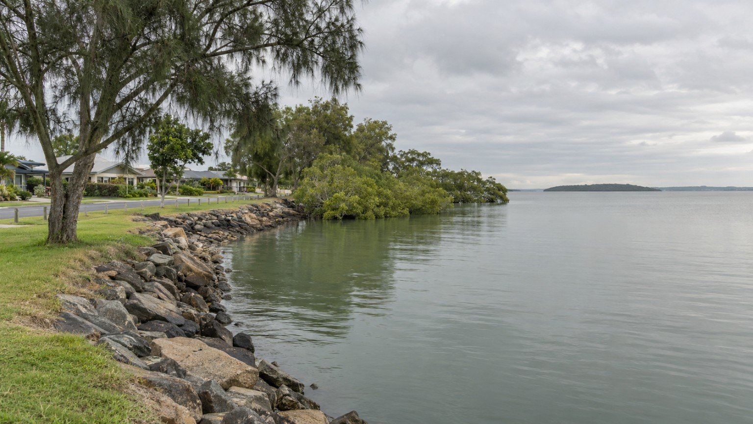 Redlands bayside foreshore with a low seawall, mangroves and homes set back behind a grassy reserve