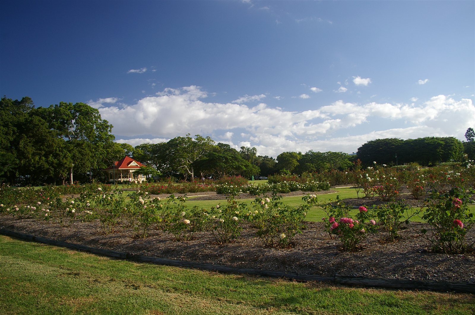 New Farm