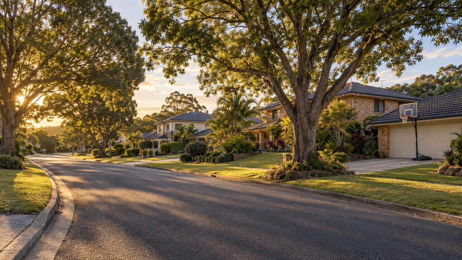 Leafy curving family street in an established eastern Brisbane suburb in late afternoon light